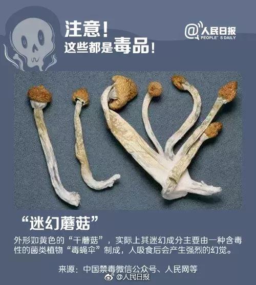 太阳集团城网站2017