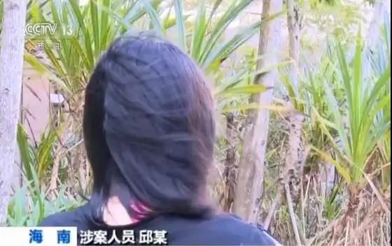 太阳集团城网站2017