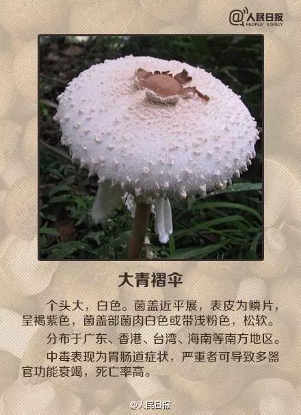 太阳集团城网站2017