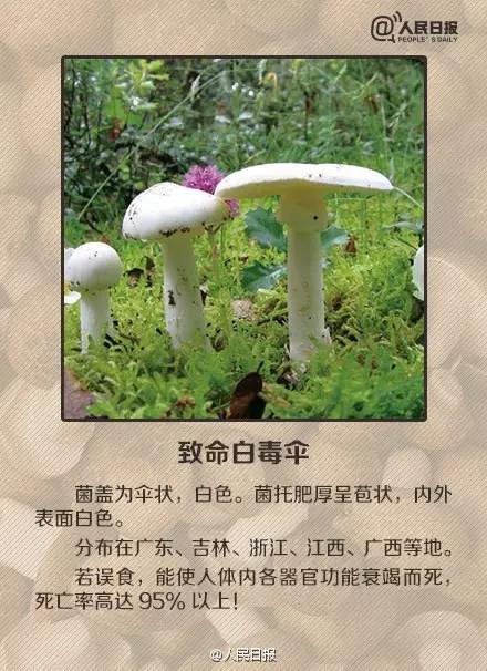 太阳集团城网站2017