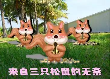太阳集团城网站2017