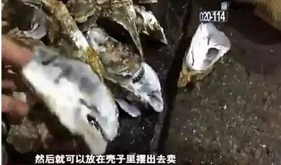 太阳集团城网站2017