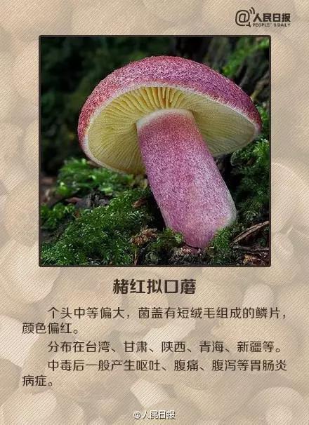 太阳集团城网站2017