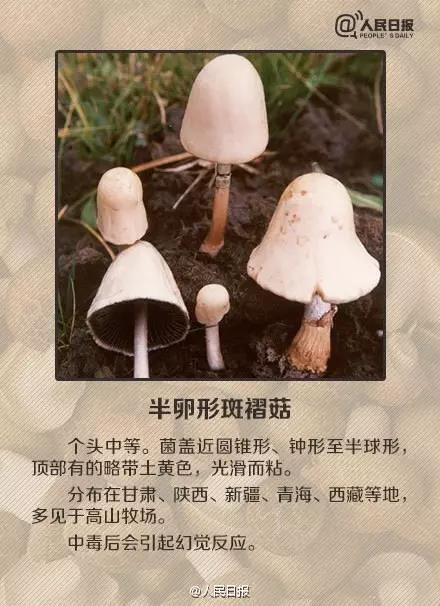 太阳集团城网站2017
