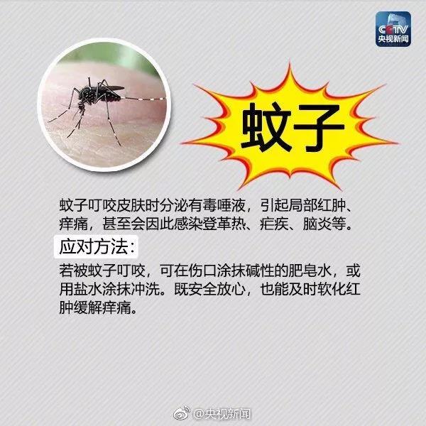 太阳集团城网站2017