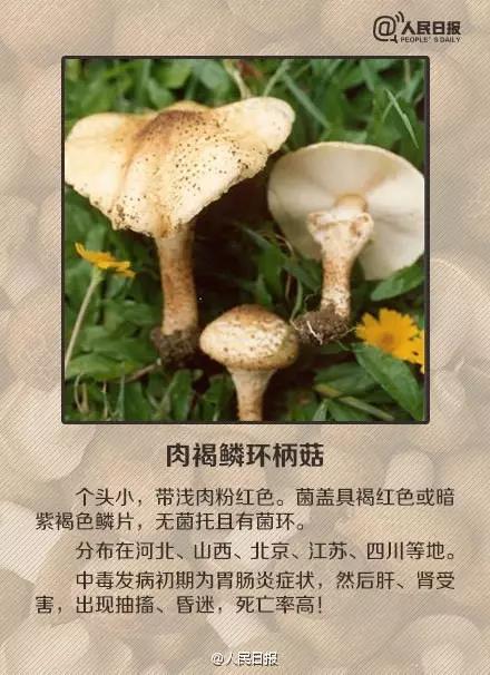 太阳集团城网站2017