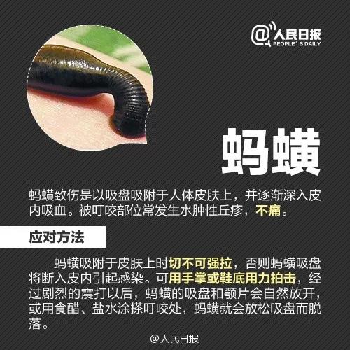 太阳集团城网站2017