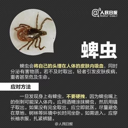 太阳集团城网站2017