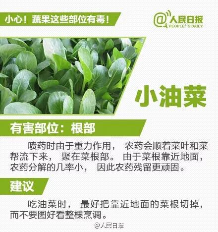 太阳集团城网站2017