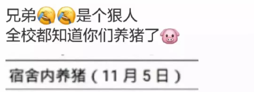 太阳集团城网站2017