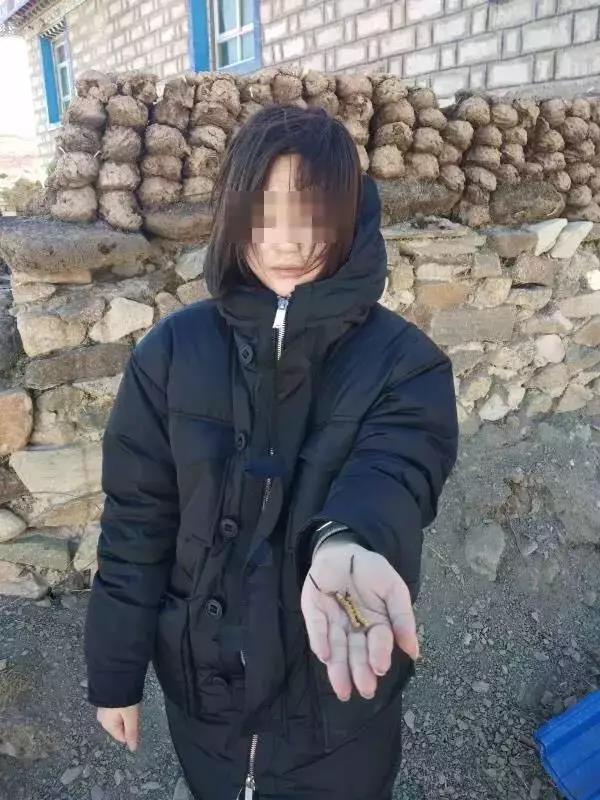 太阳集团城网站2017