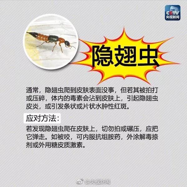 太阳集团城网站2017