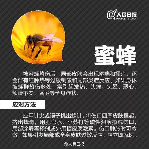 太阳集团城网站2017