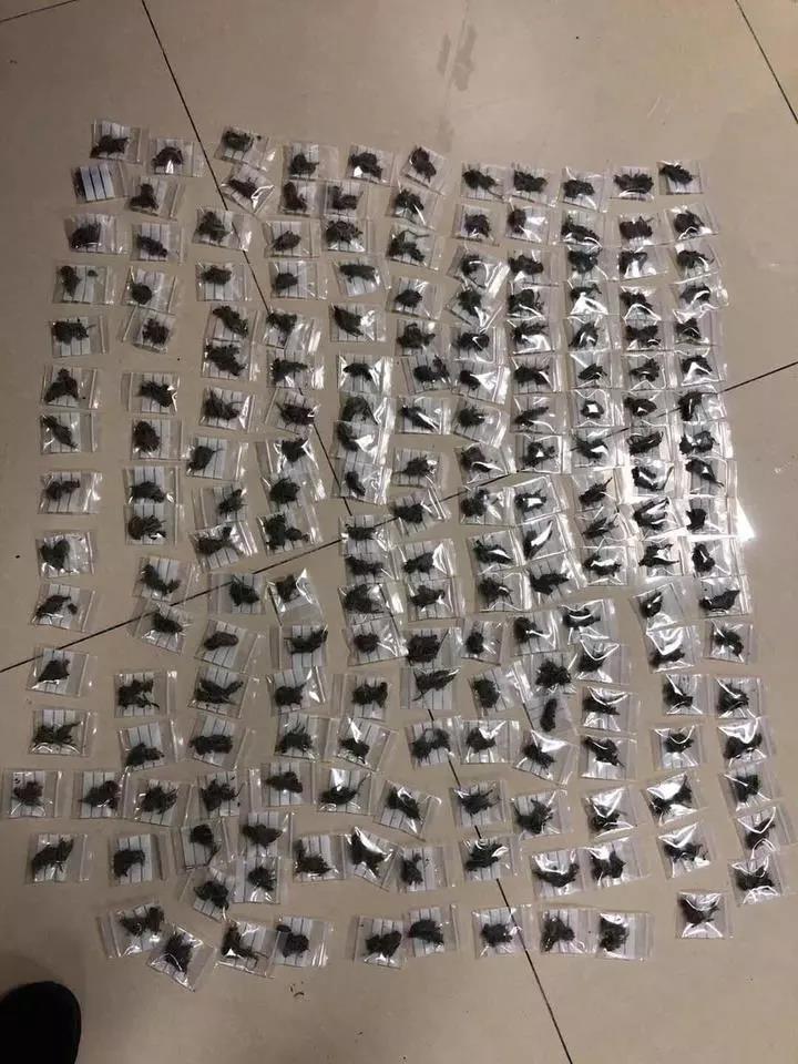 太阳集团城网站2017