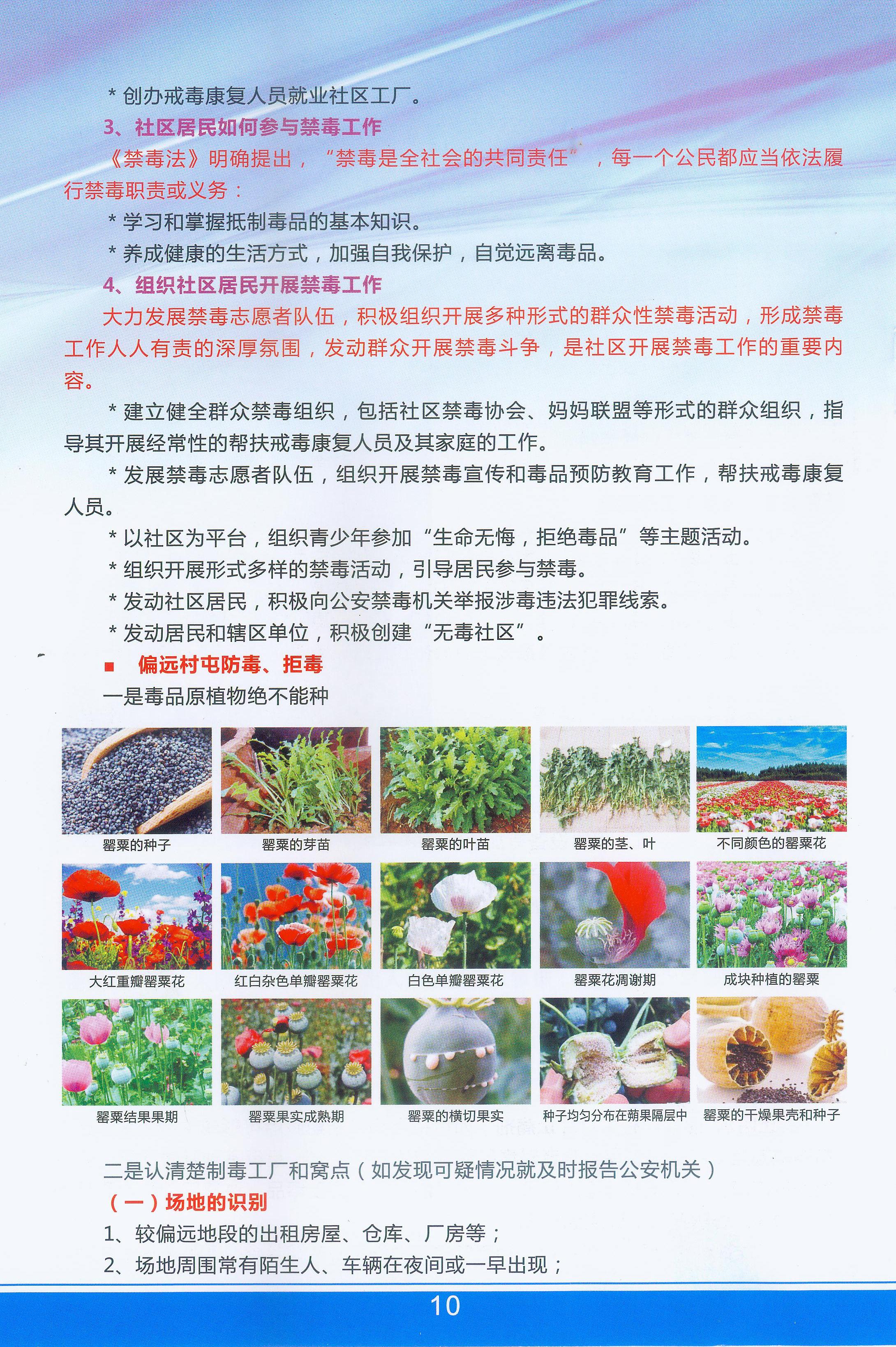 太阳集团城网站2017