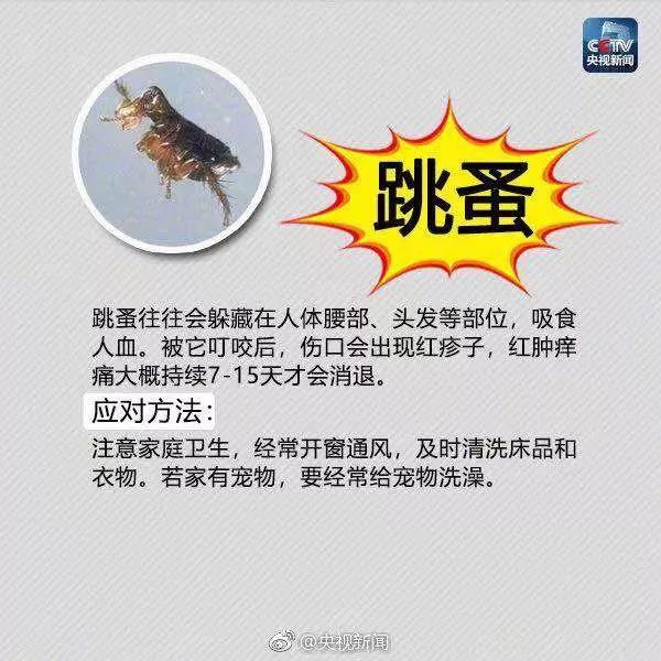 太阳集团城网站2017
