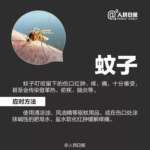 太阳集团城网站2017