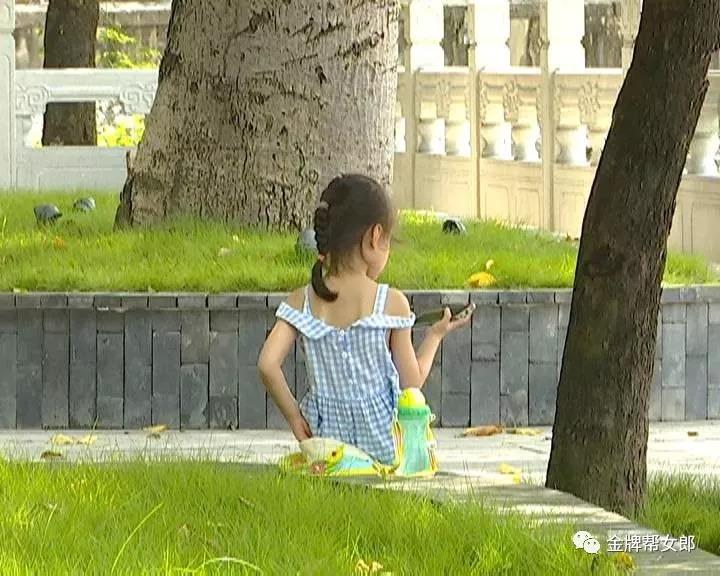 太阳集团城网站2017