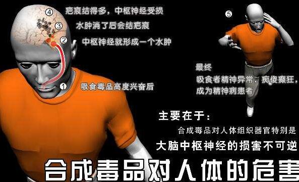 太阳集团城网站2017