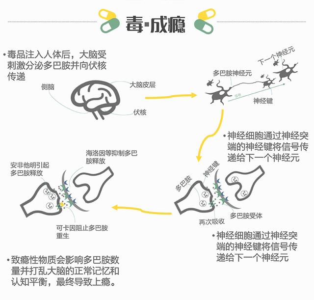 太阳集团城网站2017