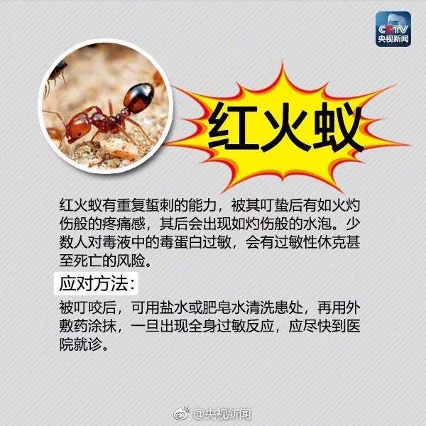 太阳集团城网站2017