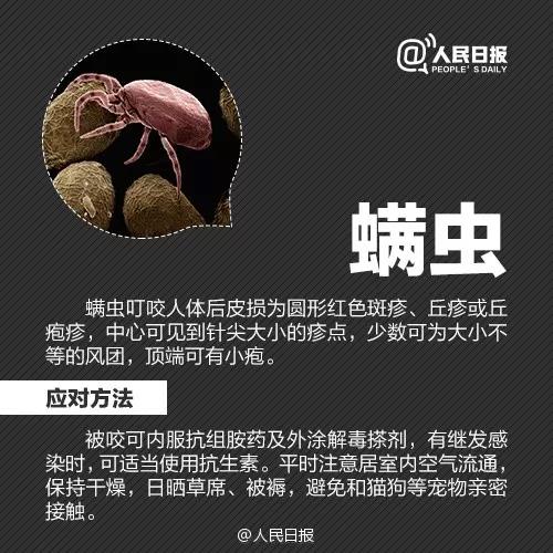 太阳集团城网站2017