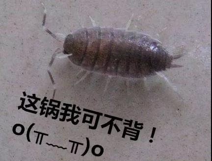 太阳集团城网站2017