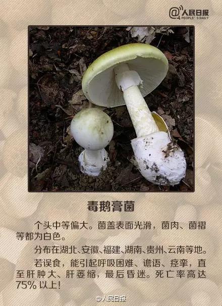 太阳集团城网站2017