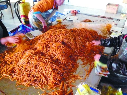 太阳集团城网站2017