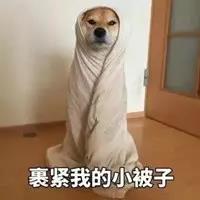 太阳集团城网站2017