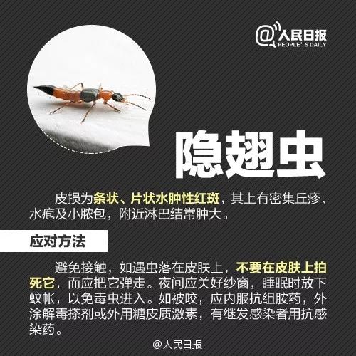 太阳集团城网站2017