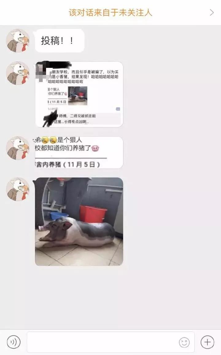 太阳集团城网站2017