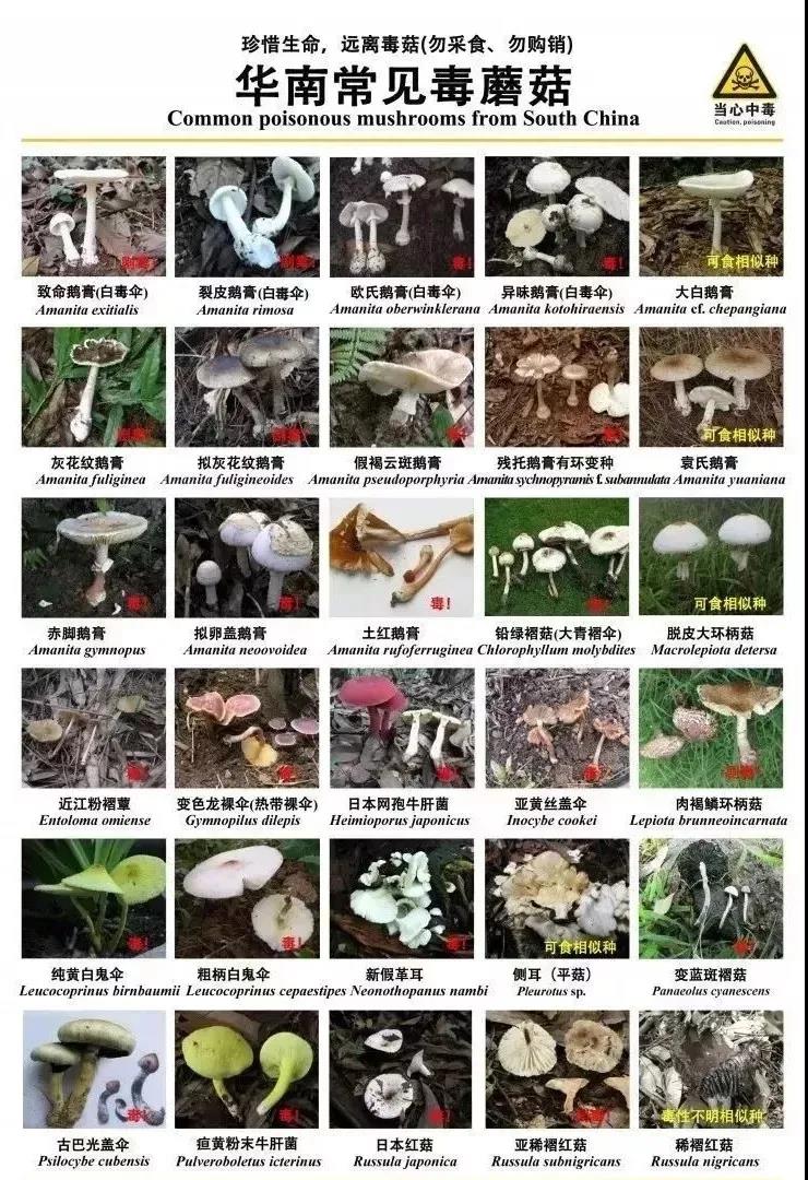 太阳集团城网站2017
