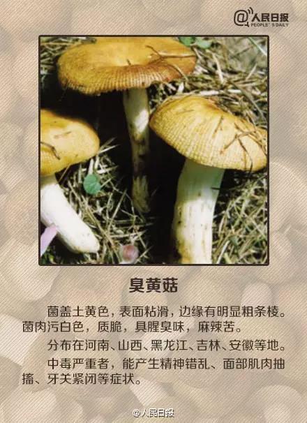 太阳集团城网站2017
