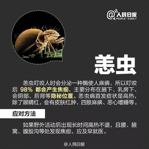 太阳集团城网站2017