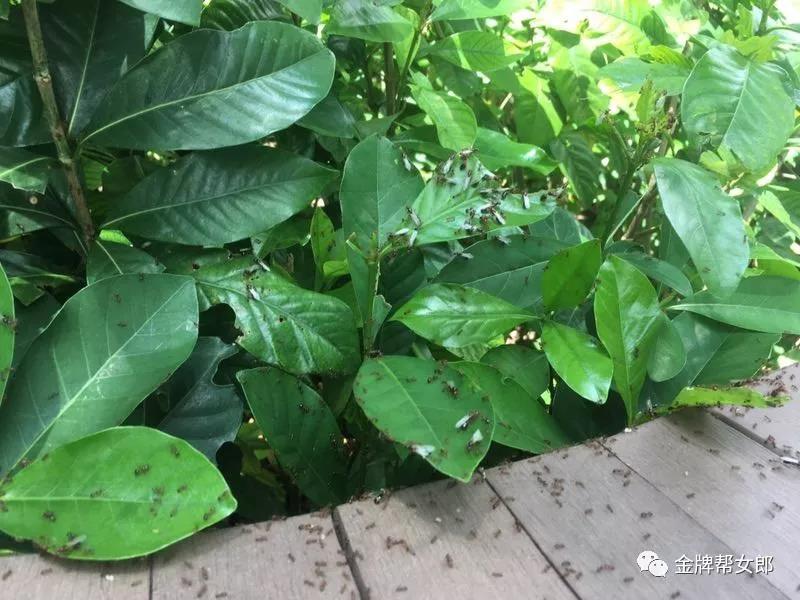 太阳集团城网站2017
